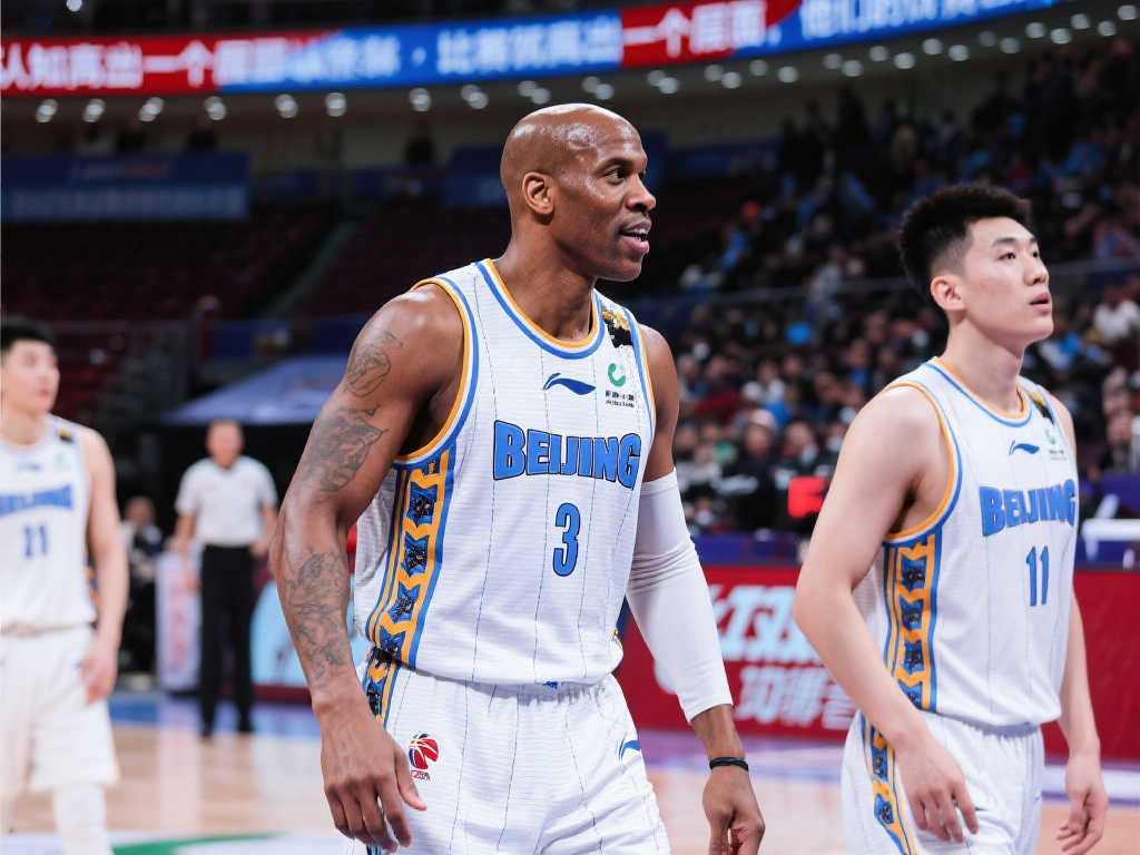 齐奥防线松 齐奥防线松