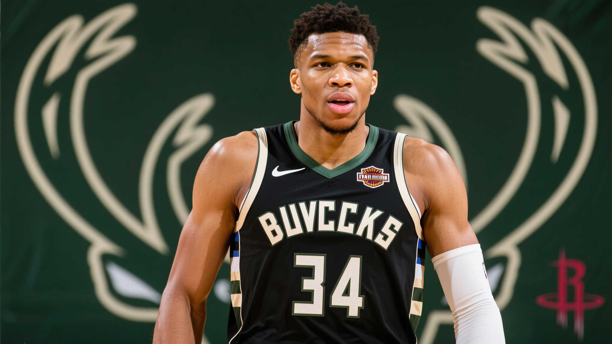 使他能够在 使他能够在